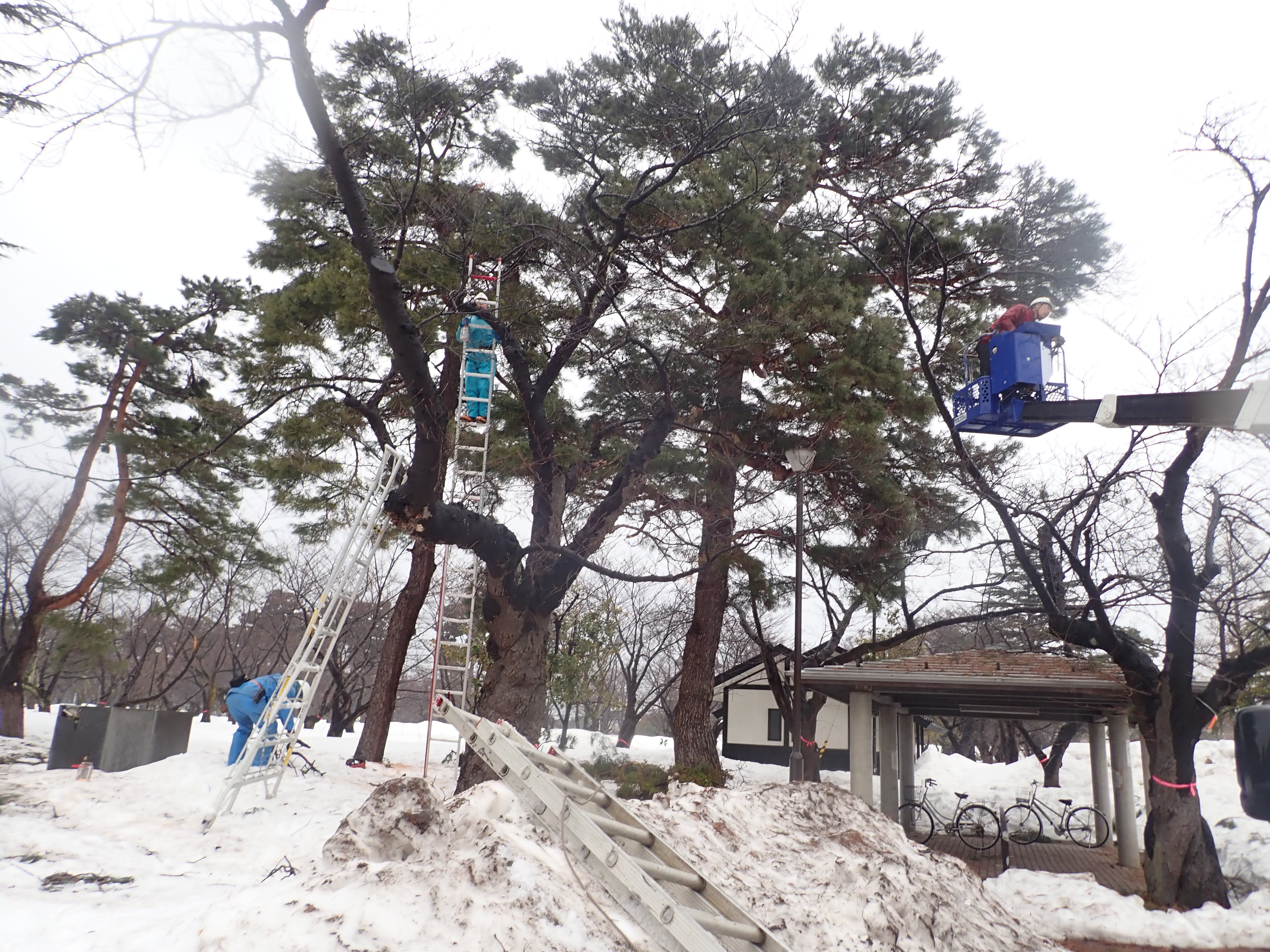 高田城址公園